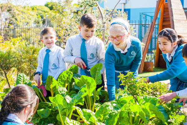 Our Lady of the Assumption Catholic Primary School Strathfield Gardening